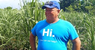 La metamorfosis de la “Raúl Díaz” Orlando Capote Puerto, presidente de la cooperativa, mira los campos de caña con orgullo. / Foto: Del autor