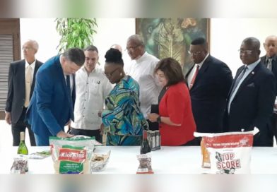 Cuba y Namibia ratifican nexos en sesión intergubernamental