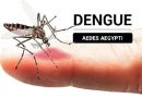 Cienfuegos enfrenta un incremento de enfermedades transmitidas por el mosquito Aedes aegypti, según confirmaron directivos del sector de la Salud mediante conferencia de prensa. / Fotos: Del autor