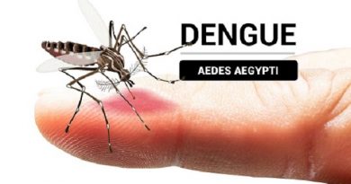Cienfuegos enfrenta un incremento de enfermedades transmitidas por el mosquito Aedes aegypti, según confirmaron directivos del sector de la Salud mediante conferencia de prensa. / Fotos: Del autor