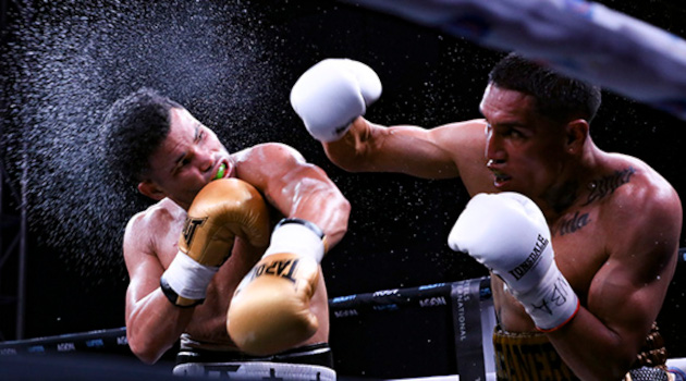 Erislandy Álvarez, campeón olímpico de Paris 2024. Foto: Ricardo López Hevia/ Granma.