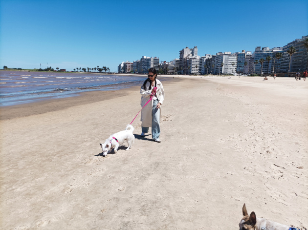 Es habitual pasear por la arena junto a las mascotas. / Foto María Elena Llanes Suárez.
