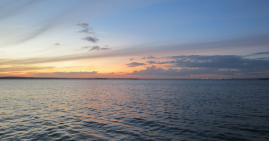 Novembrinos (+Fotos)