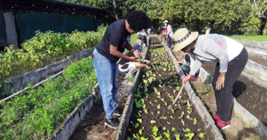 Cienfuegos rinde homenaje al legado del Che con jornada de trabajo voluntario