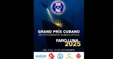 Cartel promocional del evento.