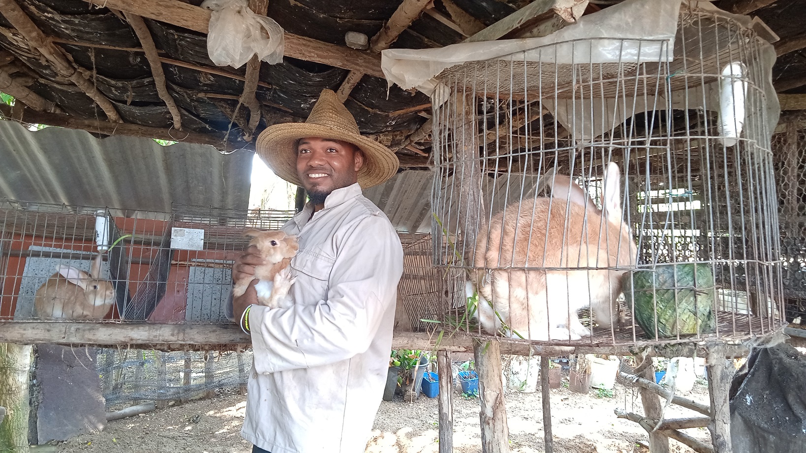 Localizada en la parte trasera del Consejo popular de Junco Sur, en el municipio de Cienfuegos, la Finca La Panchita prospera con pasos firmes y en solo tres años, su propietario Reinaldo Tomás Bernal Rosell logró una parte del empeño relacionado con el trabajo agrícola.