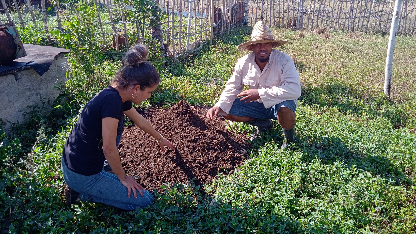 Localizada en la parte trasera del Consejo popular de Junco Sur, en el municipio de Cienfuegos, la Finca La Panchita prospera con pasos firmes y en solo tres años, su propietario Reinaldo Tomás Bernal Rosell logró una parte del empeño relacionado con el trabajo agrícola.