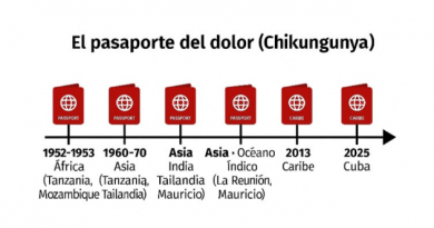 El pasaporte del dolor: chikungunya en Cuba El pasaporte del dolor: chikungunya en Cuba