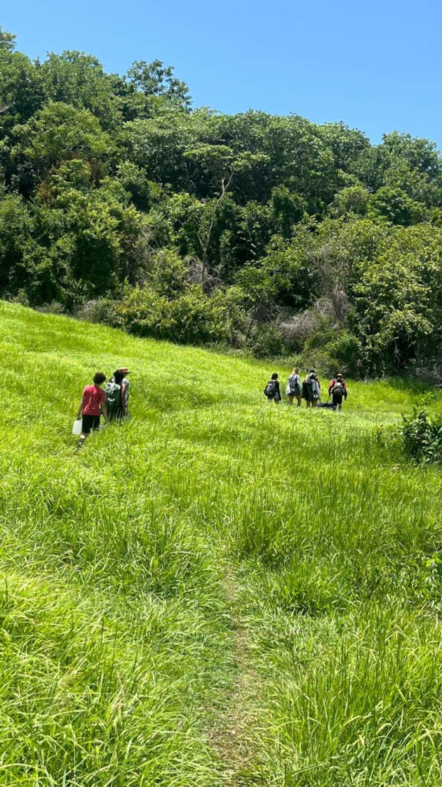 Un trillo verde los llevó a internarse en el bosque.
