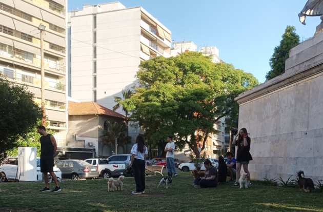 En parques, plazas, calles y otros espacios públicos de la ciudad te puedes encontrar canes de diferentes razas./ Foto: María Elena Llanes Suárez