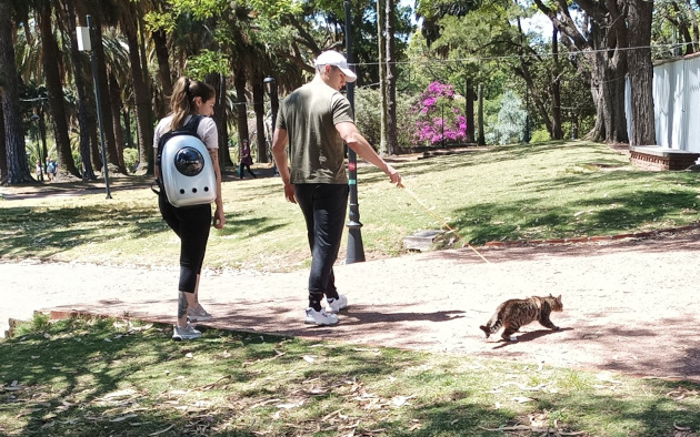 Aunque lo más natural y cotidiano es salir a pasear o darle una vuelta a los canes, existen excepciones como esta de la pareja que llevó a su minina Crata a disfrutar del sociego en medio del tranquilo ambiente natural del parque Rodó./ Foto: María Elena Llanez Suárez