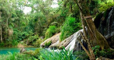 La resiliencia ecológica: el desafío vital de Cienfuegos La resiliencia ecológica: el desafío vital de Cienfuegos
