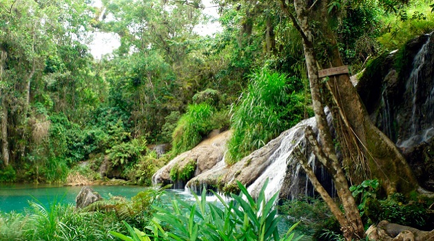 La resiliencia ecológica: el desafío vital de Cienfuegos La resiliencia ecológica: el desafío vital de Cienfuegos