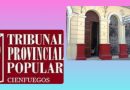 La Dirección de Justicia y el sistema de tribunales mantienen su vitalidad en las actuales circunstancias. / Montaje: De la autora.