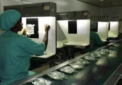 Laboratorio Farmacéutico Oriente mantiene la producción de concentrados de hemodiálisis Laboratorio Farmacéutico Oriente mantiene la producción de concentrados de hemodiálisis