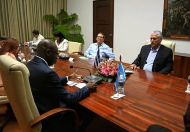 Intercambia Díaz-Canel con delegación del Comité de Palestina de la ONU