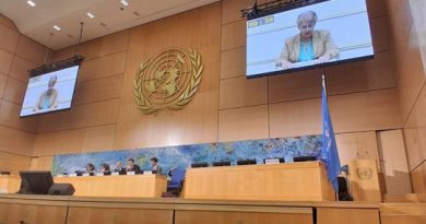 Presidenta de la UNEAC interviene en Ginebra