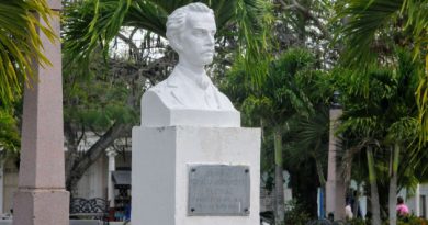 Belleza e historia entre palmeras lajeras (+Fotos) Belleza e historia entre palmeras lajeras (+Fotos)