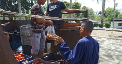 Palmira y el desafío de producir alimentos para el pueblo