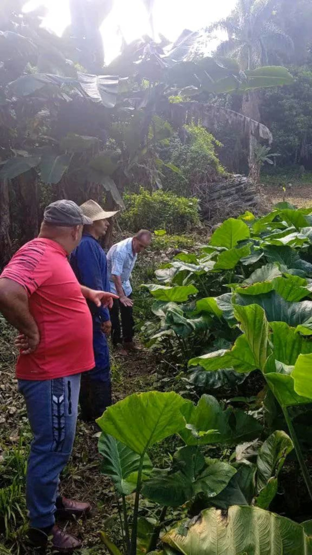 Foto: Julio Martínez Molina / 5 de Septiembre