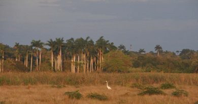 FOTORREPORTAJE: Retablo luminoso en tierra santa