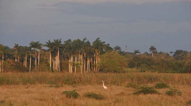 FOTORREPORTAJE: Retablo luminoso en tierra santa