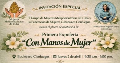 <em>Con manos de mujer</em>, expoferia en Cienfuegos