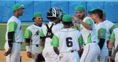 Casi todos los miembros de la manada de Elefantes se han mantenido en acción.