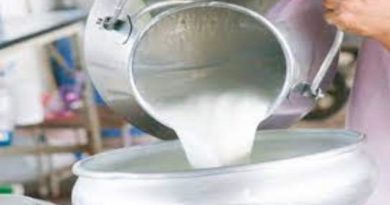 Leche para los niños en Cienfuegos: desorganización en los horarios y deficiente calidad del producto