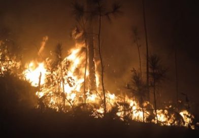 Incendio forestal en zona montañosa La Lanza, Minas de Matahambre, ha dañado más de 400 hectáreas de bosques Incendio forestal en zona montañosa La Lanza, Minas de Matahambre, ha dañado más de 400 hectáreas de bosques
