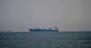 Reportan cruce de petrolero por estrecho de Ormuz pese a bloqueo