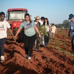 trabajo-voluntario-bauta-10