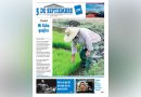 Conozca nuestra edición semanal en PDF del 15 de mayo
