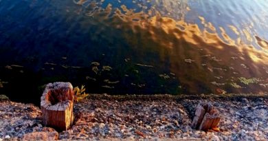 <em>De-tener el tiempo</em>: el paisaje como asidero de la memoria <em>De-tener el tiempo</em>: el paisaje como asidero de la memoria