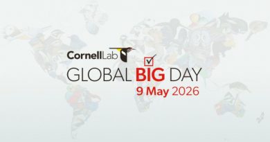 El mayor evento ornitológico del planeta se realiza todos los años. / Tomada de www.ebird.org