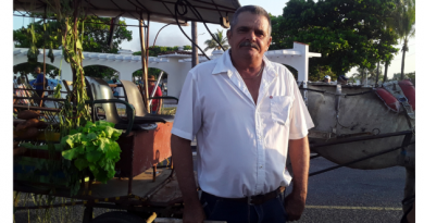 Primero de Mayo en Cienfuegos: desde el surco un respaldo a la Patria