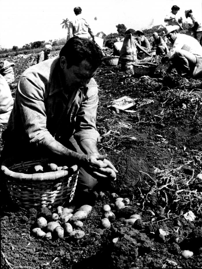 Foto: Archivo de Granma