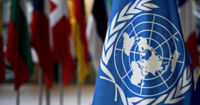 Paz y seguridad internacionales en Consejo de Seguridad de la ONU Paz y seguridad internacionales en Consejo de Seguridad de la ONU