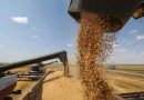 Rusia exportará 60 millones de toneladas de grano esta temporada
