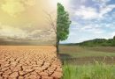 Día de Lucha contra la Desertificación, una jornada por la vida Día de Lucha contra la Desertificación, una jornada por la vida
