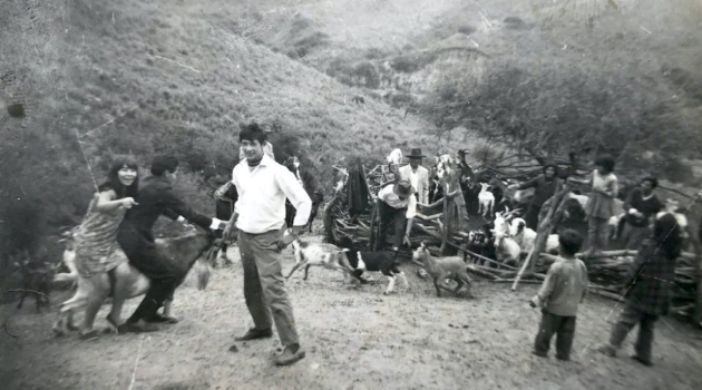 Imagen del documental Nuestra tierra, de la directora argentina Lucrecia Martel.