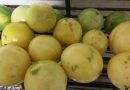 Historia, belleza y delicias del maracuyá