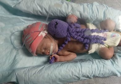 Pinar del Río comienza el uso de pulpos neonatales