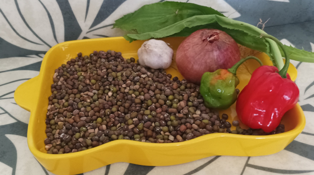 Los brotes de semillas de leguminosas y gramíneas como los cereales, son una excelente opción culinaria por sus aportes nutritivos y exquisito sabor. / Foto: María Elena Llanes Suárez