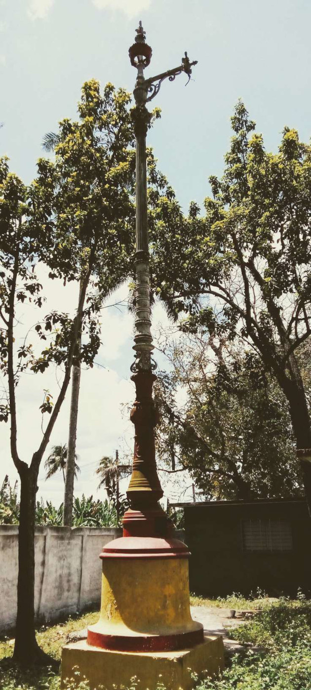 Una luminaria de hierro fundido junto a las palmas de la alameda.