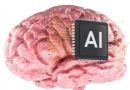 Desarrollan un centro de datos biológico impulsado por neuronas humanas vivas Desarrollan un centro de datos biológico impulsado por neuronas humanas vivas