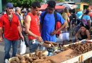 Adelantan feria agrícola para viernes 4 en Cienfuegos (+Galería) Adelantan feria agrícola para viernes 4 en Cienfuegos (+Galería)