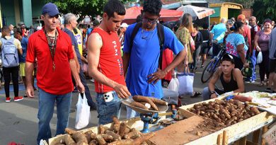 Adelantan feria agrícola para viernes 4 en Cienfuegos (+Galería)