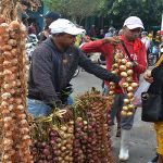 Adelantan feria agrícola para viernes 4 en Cienfuegos (2).JPG