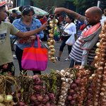 Adelantan feria agrícola para viernes 4 en Cienfuegos (5).JPG